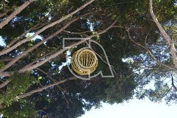 Alumbrado navideño de la plaza de San Juan (Foto TA)
